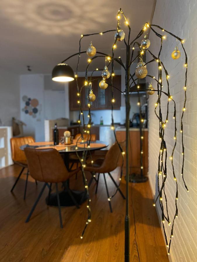 Ijsvogel Apartment, Duplex Family Home 4-Bed Located On The Largest Saltwater Lake Bruinisse Kültér fotó