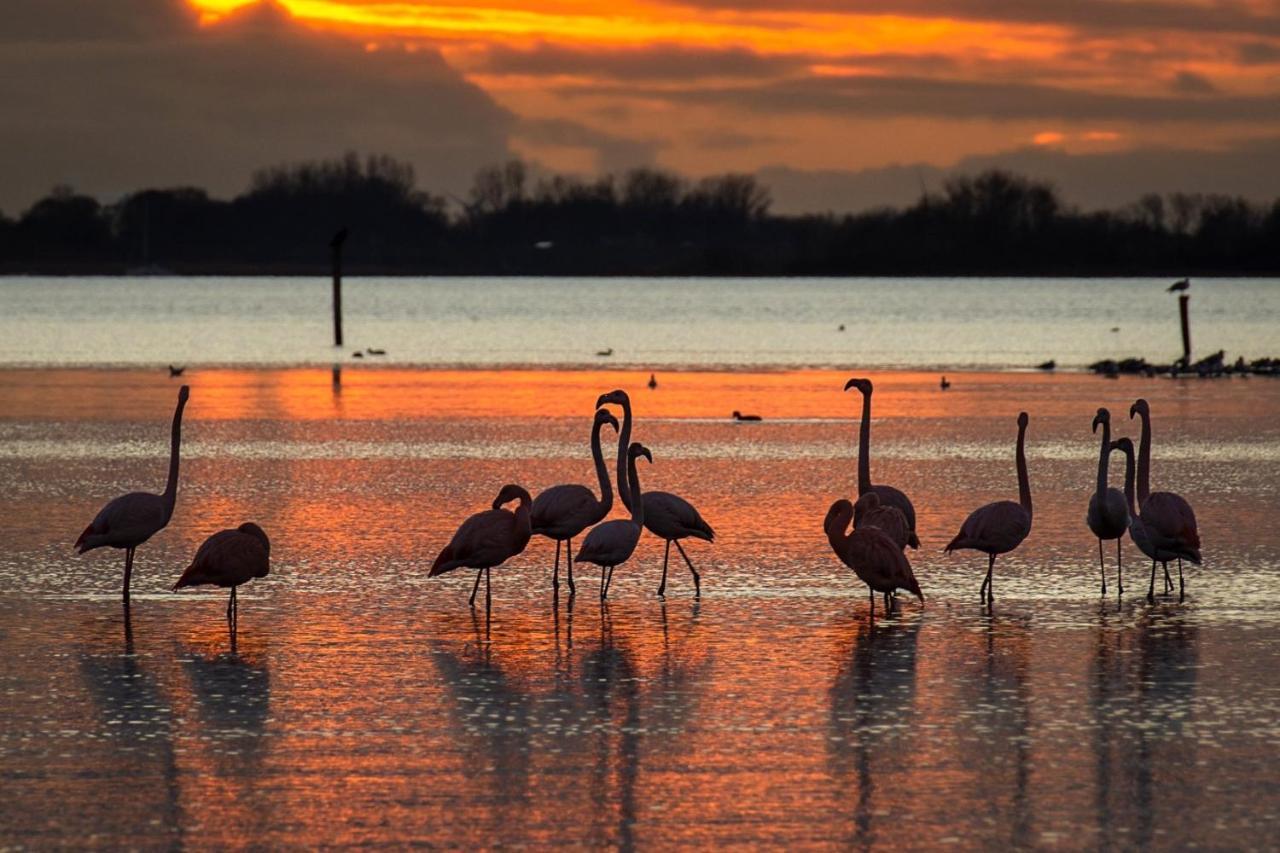 Ijsvogel Apartment, Duplex Family Home 4-Bed Located On The Largest Saltwater Lake Bruinisse Kültér fotó